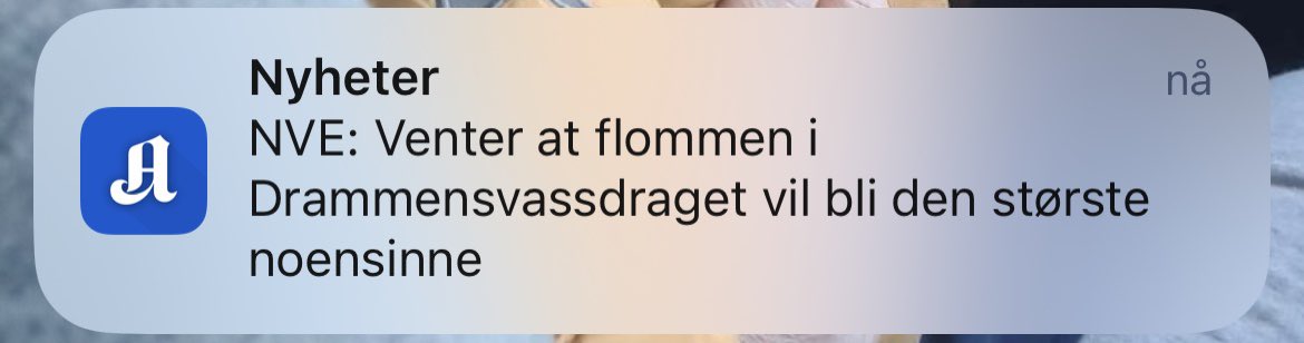 Martin Iversen \0/ tweet media