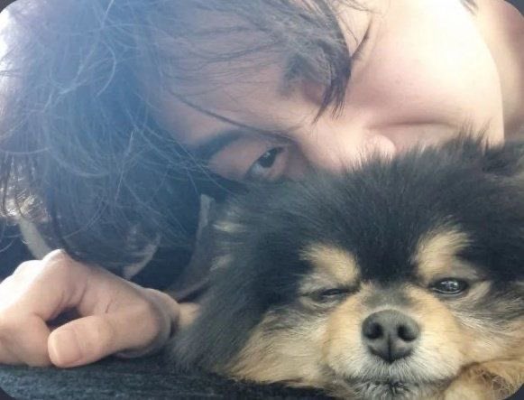 juridicoseok's tweet photo. o taehyung contou a história do tannie pra gente e disse que ele nasceu com problemas respiratórios pois as vias aéreas dele são pequenas o que dificulta um pouco a respiração, então ele “ronrona” o tempo todo E infelizmente já passou por 2 cirurgias e falharam… agora imaginem https://t.co/zQ0QC5giza