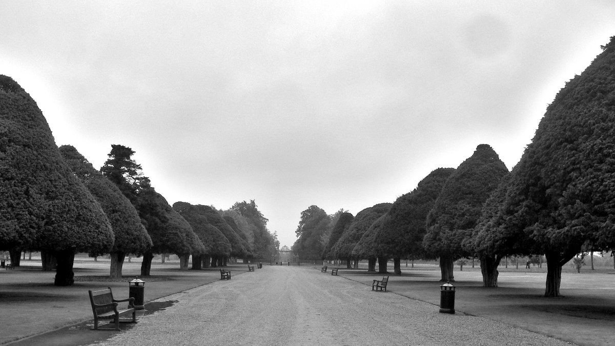 Hampton Court Palace, UK #hamptoncourtpalace #uk #unitedkingdom #photography #creative #creativity #monochrome #monochromatic #monochromephotography #blackandwhitephoto #blackandwhitephotography #bw #bwphoto #blackandwhite #bnw #bnw_features #bnw_demand #ilfordphoto