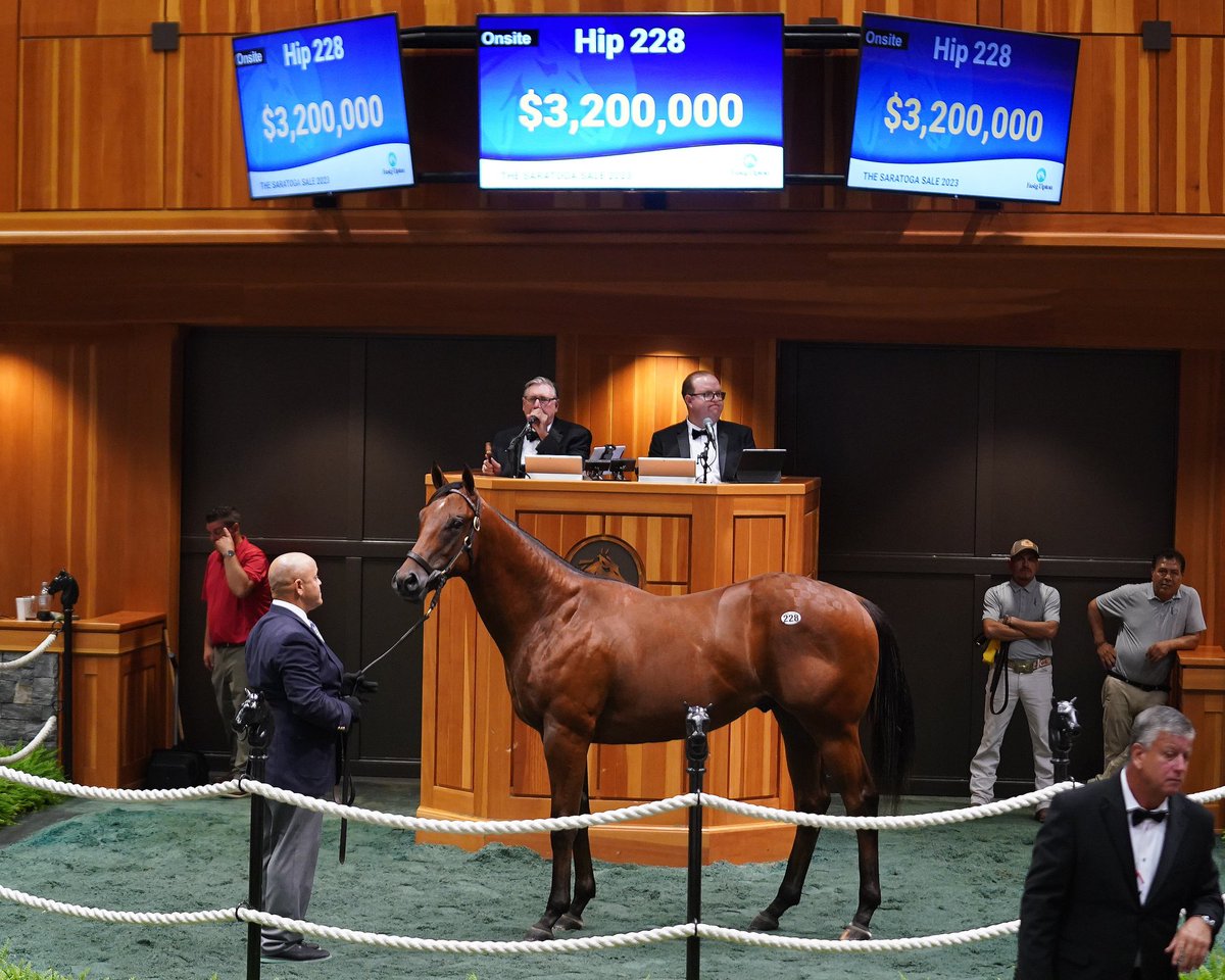 IndianCreekKy's tweet photo. What a night! 🎆 

We are so honored to have had the opportunity to offer this special colt for Jeff Drown and Don Rachel- best of luck to @ZedanRacing we know big things are in his future! 

Thank you to our team and our clients for an unbelievable two days @fasigtipton ❤️🎪 https://t.co/jmwaue6Sfg