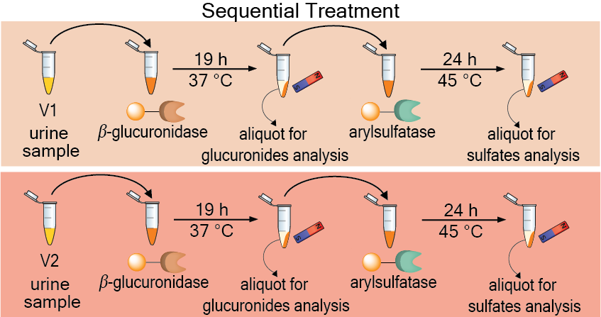 Excited to share our newest publication from <a href="/IoannaTsiara/">Ioanna Tsiara</a> just published in <a href="/an_chem/">ACS Analytical Chemistry Journals</a>. Ioanna has developed a new method for separate analysis of phase II metabolites in human urine samples using two different enzymes immobilized to magnetic beads. pubs.acs.org/doi/10.1021/ac…