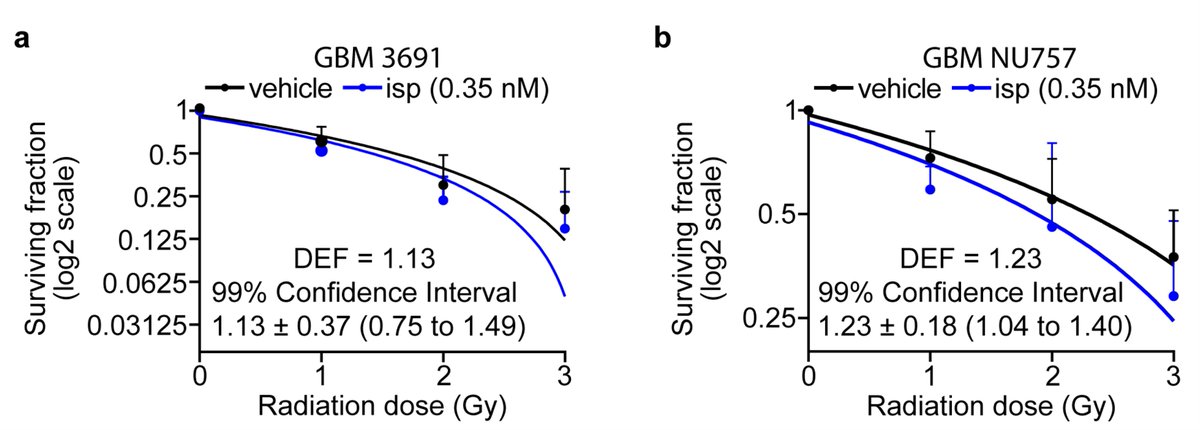 Cancers_MDPI's tweet photo. 🔶#Glioblastoma is notoriously resistant to treatment but a new article from the Venere lab identifies enrichment of cells in mitosis as a robust approach to increase the efficacy of radiotherapy🔶
📚Enjoy reading more here: https://t.co/qxNL2NxjUo https://t.co/zspOFz0F3a