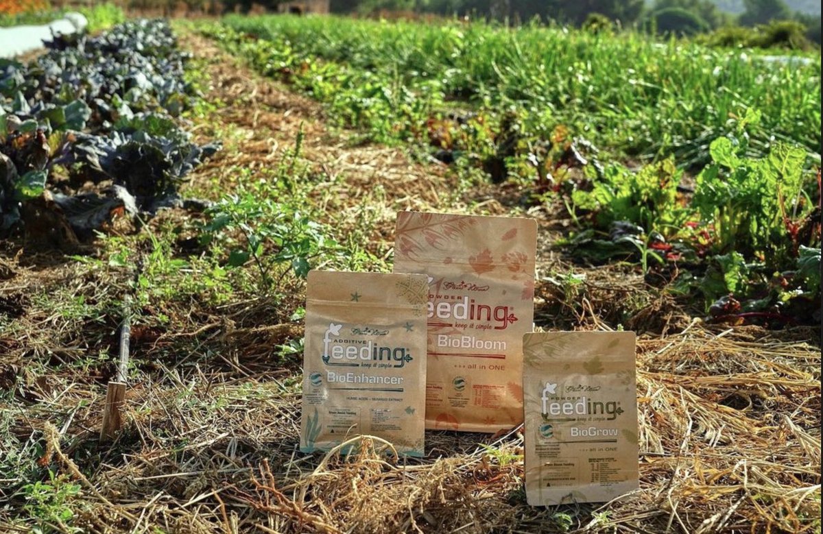 ghfeeding's tweet photo. Are you looking for a way to improve the quality of your harvest?
Growing a clean and tasty product ? 🌱
The blend of natural ingredients provides the right amount of nutrients for 8 weeks with just one application.
#KeepltSimple https://t.co/QufWa8XgaQ