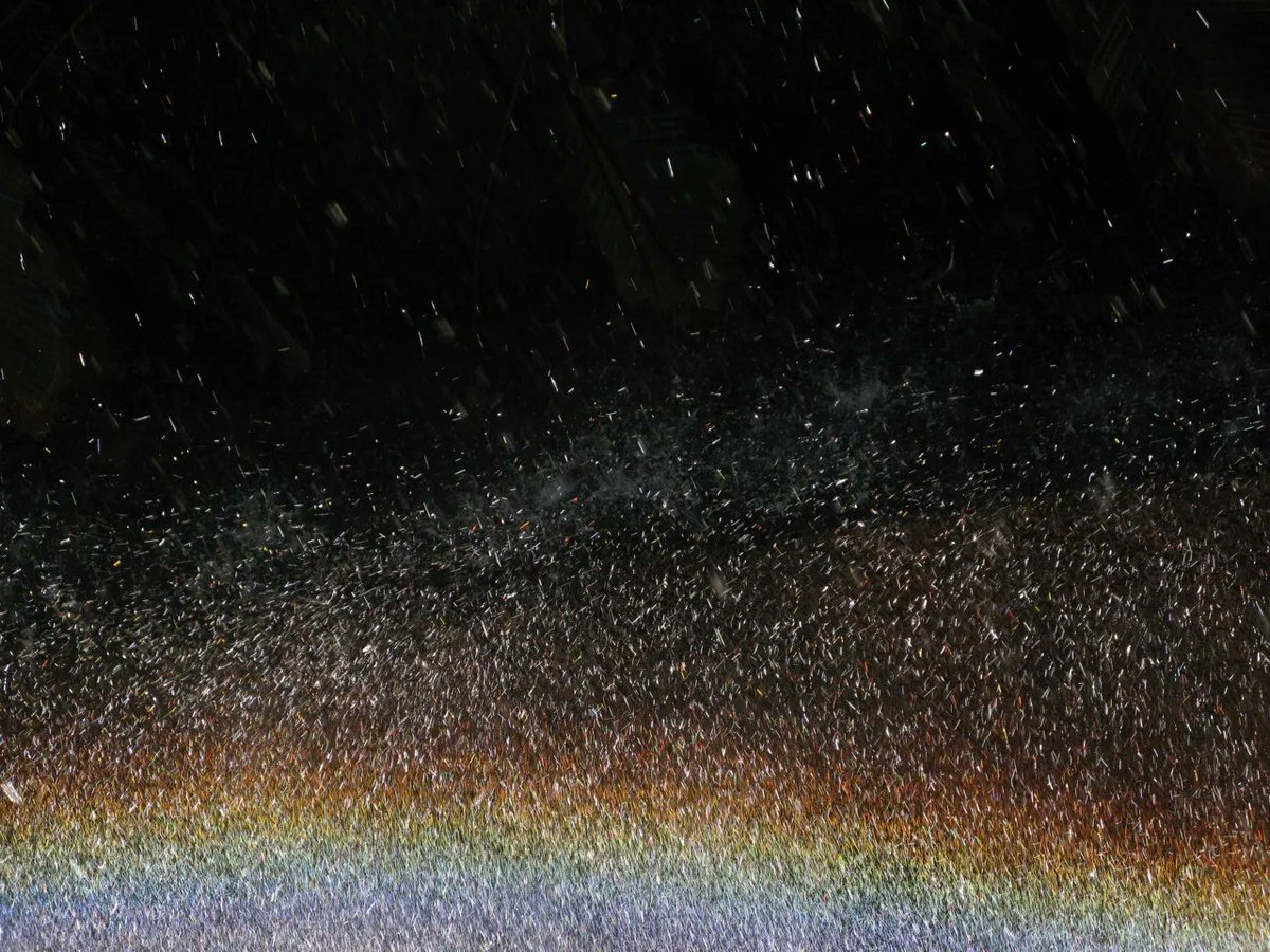 Paulo Gouvea Vieira 📷 tweet media