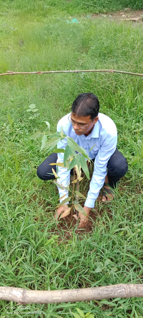આજરોજ આઝાદી કા અમૃત મહોત્સવ નિમિત્તે "મેરી માટી મેરા દેશ" કાર્યક્રમ અંતર્ગત ધરમપુર તાલુકાના કુલ ૪૧ ગામોમાં પાંચ થીમ આધારિત કાર્યકમની ઊજવણી કરવામાં આવી. પદાધિકારીઓ તથા ગ્રામજનો  દ્વારા ઉત્સાહ પુર્વક કાર્યકમમાં હાજરી આપવામાં આવી. વૃક્ષારોપણ કરી અમૃતવાટિકાનું નિર્માણ કરવામાં આવ્યું.