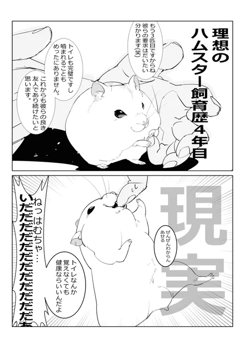 こんなはずでは… #ハムスター漫画