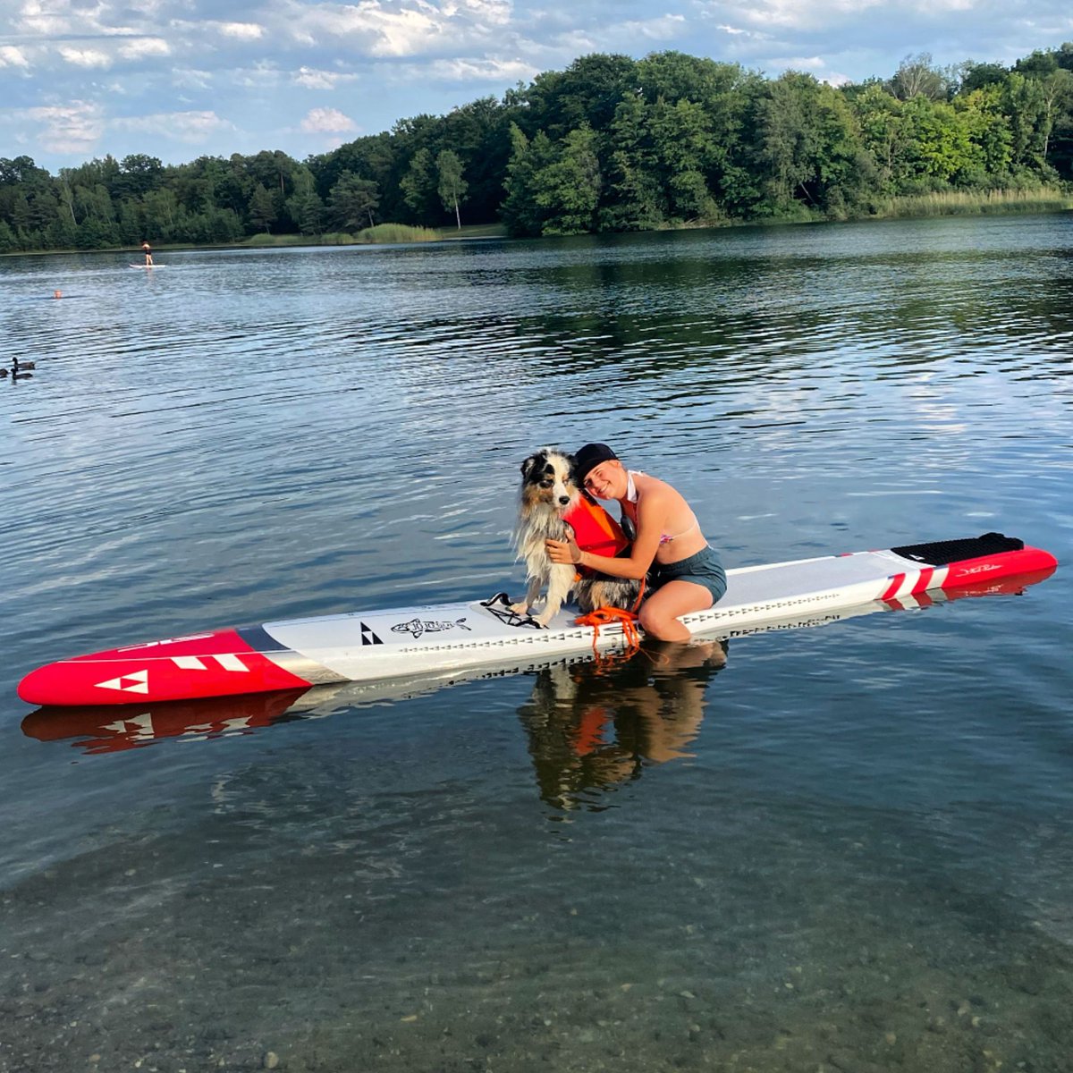 sic_maui's tweet photo. We love training with our #sicsuppups! π
#sicmaui #boundbywater #sicsuplife #sicview
Featuring SIC Maui Youth Development Athlete @jojo.sup
Location: Weicheringer Weiher in Bavaria, Germany https://t.co/Y9o51S5nXZ