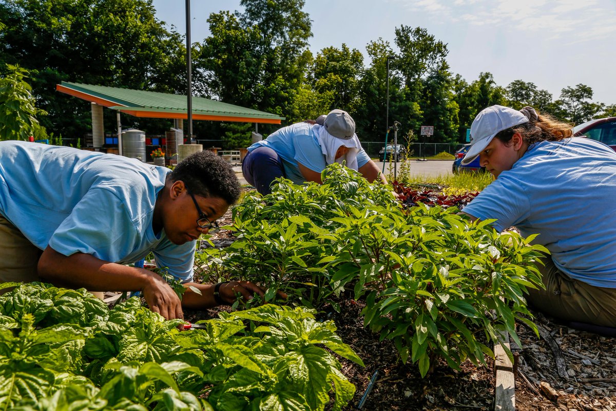 With a new school year comes fresh ideas. Check out Nature Lab’s resources for building a school garden! 
PC: Devan King

nature.ly/3DPdTdD 

#tncnaturelab #communitygardens