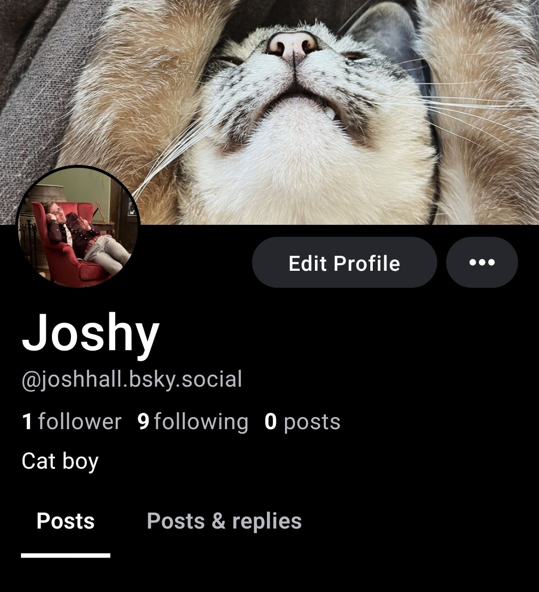 josh hall tweet media