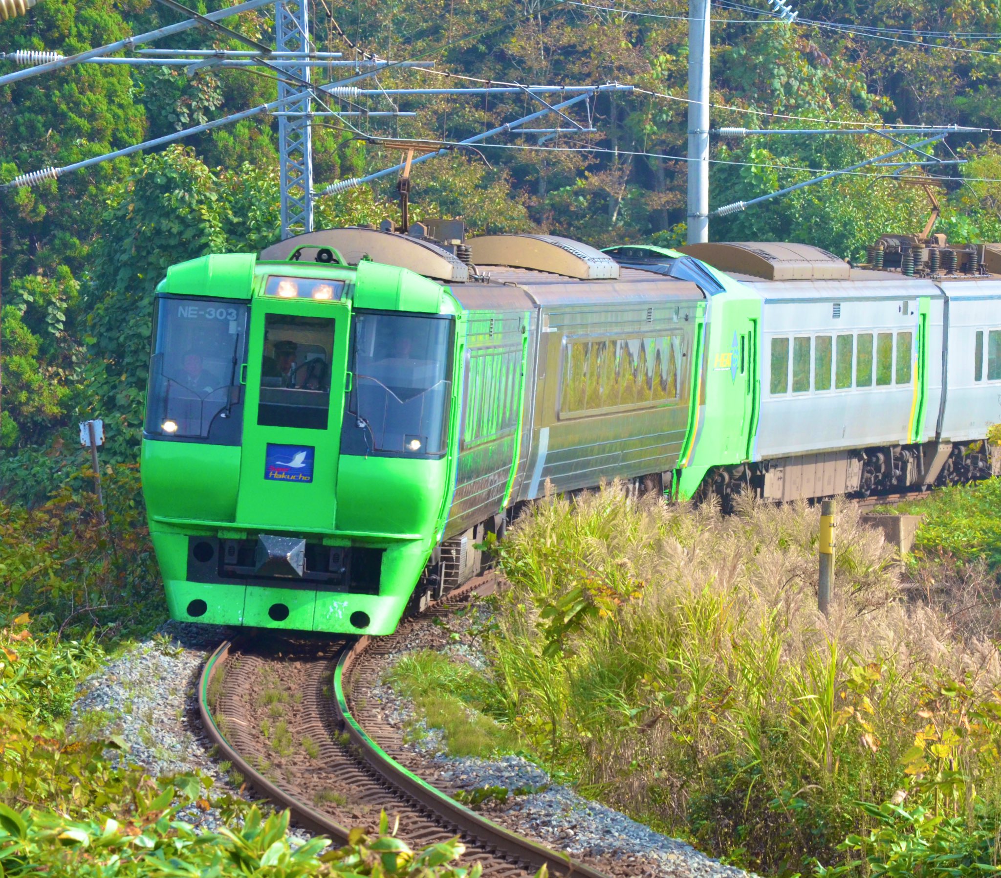 789系　スーパー白鳥 Amazon | トミーテック TOMIX Nゲージ JR 789 0系 スーパー白鳥