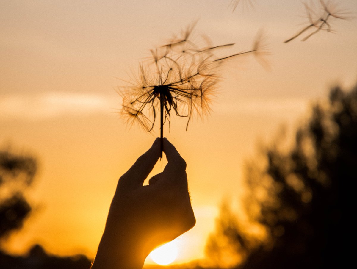 From 1st September 2023, REPL Group will be known as Accenture.

We're excited by this next stage of our journey as we continue to expand our capabilities and deliver for our clients.

Please follow <a href="/AccentureUK/">AccentureUK</a> to stay up to date on the latest insights.

#REPL #Accenture