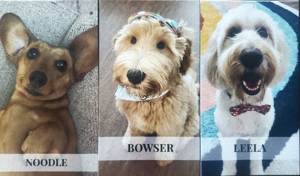 Robert Heim tweet media