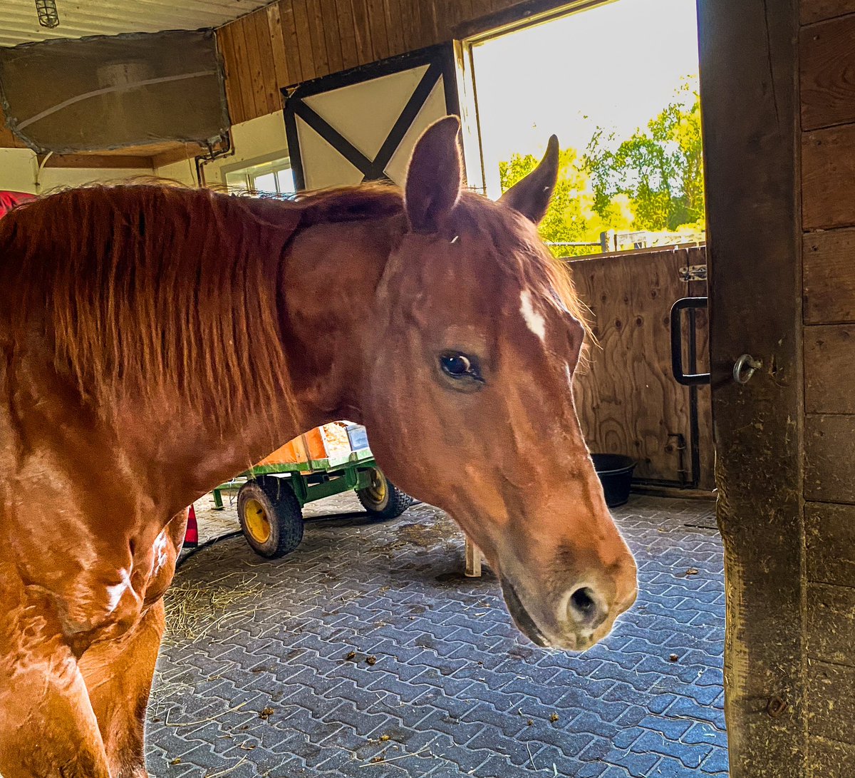 David Hiller tweet media