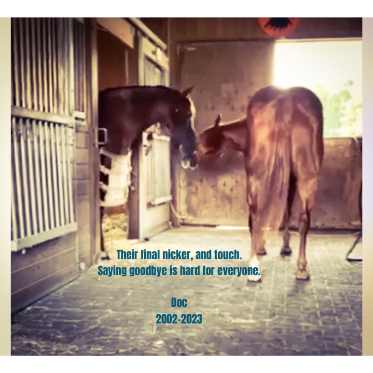 David Hiller tweet media