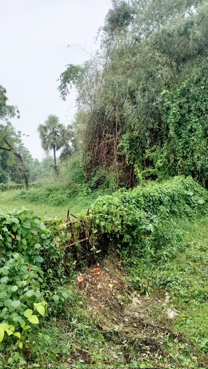 connectingtapan's tweet photo. https://t.co/dNdoyfDHmj