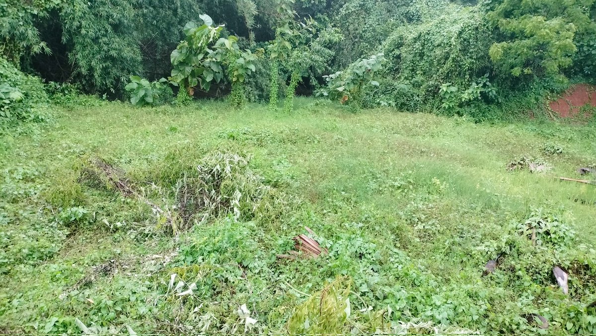 connectingtapan's tweet photo. https://t.co/dNdoyfDHmj