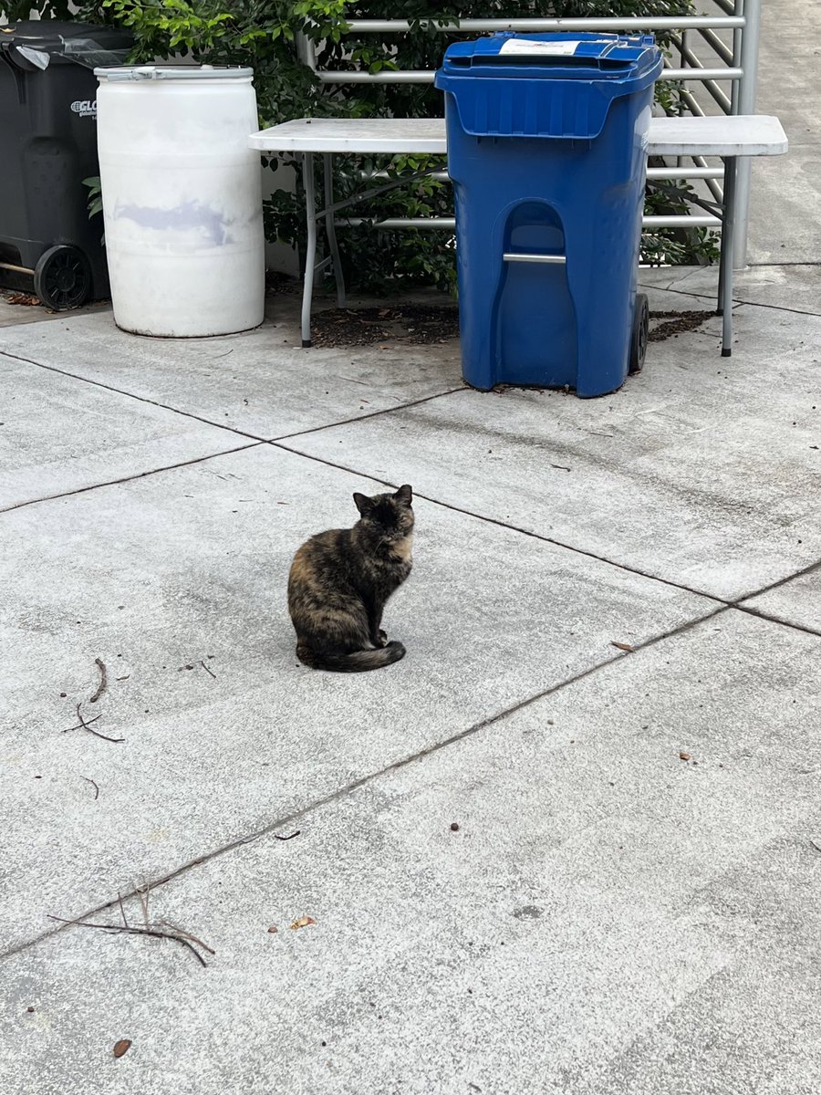 Tight security at Bobby Dodd this morning <a href="/GeorgiaTech/">Georgia Tech</a>