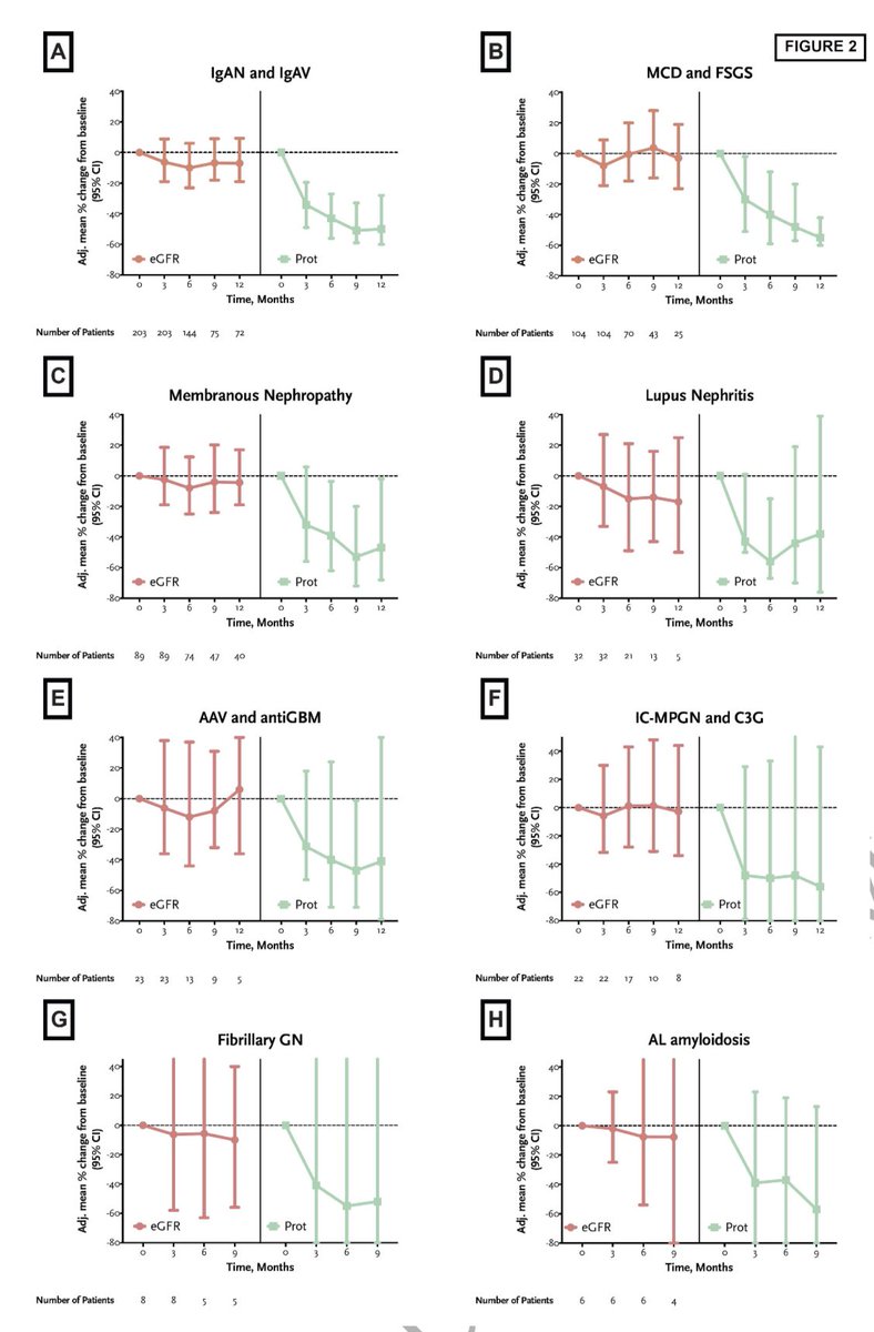 Los iSGLT2 fueron efectivos en glomerulopatias secundarias (lupus, focal y segmentaría, Vasculitis ANCA, IgA, membranosa, C3…); a un año ↓48% proteinuria y mantienen la TFGe, sin importar cual sea la etiología ni su inmunosupresión

#ISNyoung

NDT 2023
doi: 10.1093/ndt/gfad175