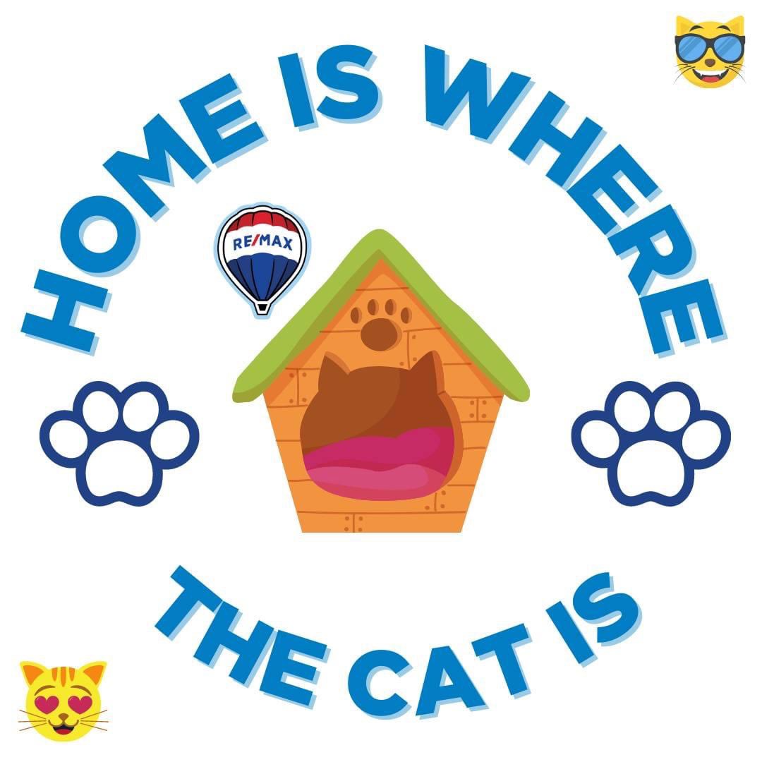 FarmvilleHomes's tweet photo. Home is where the Dog and Cat live. 252-258-1251 for assistance with all your Real Estate needs in Eastern NC. 
#leeandharrellteam #Greenvillenc #Farmvillenc #ECU #Remax #WintervilleNC https://t.co/ca2rUku0QM