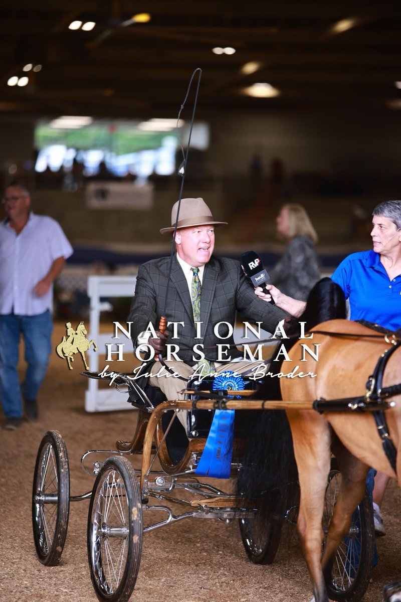 FarmvilleHomes's tweet photo. Not only are we one of the Top Real Estate teams in Eastern NC we also are proud of our show horses. Follow us at La Mirage Stables. https://t.co/1Kxnx72X6h