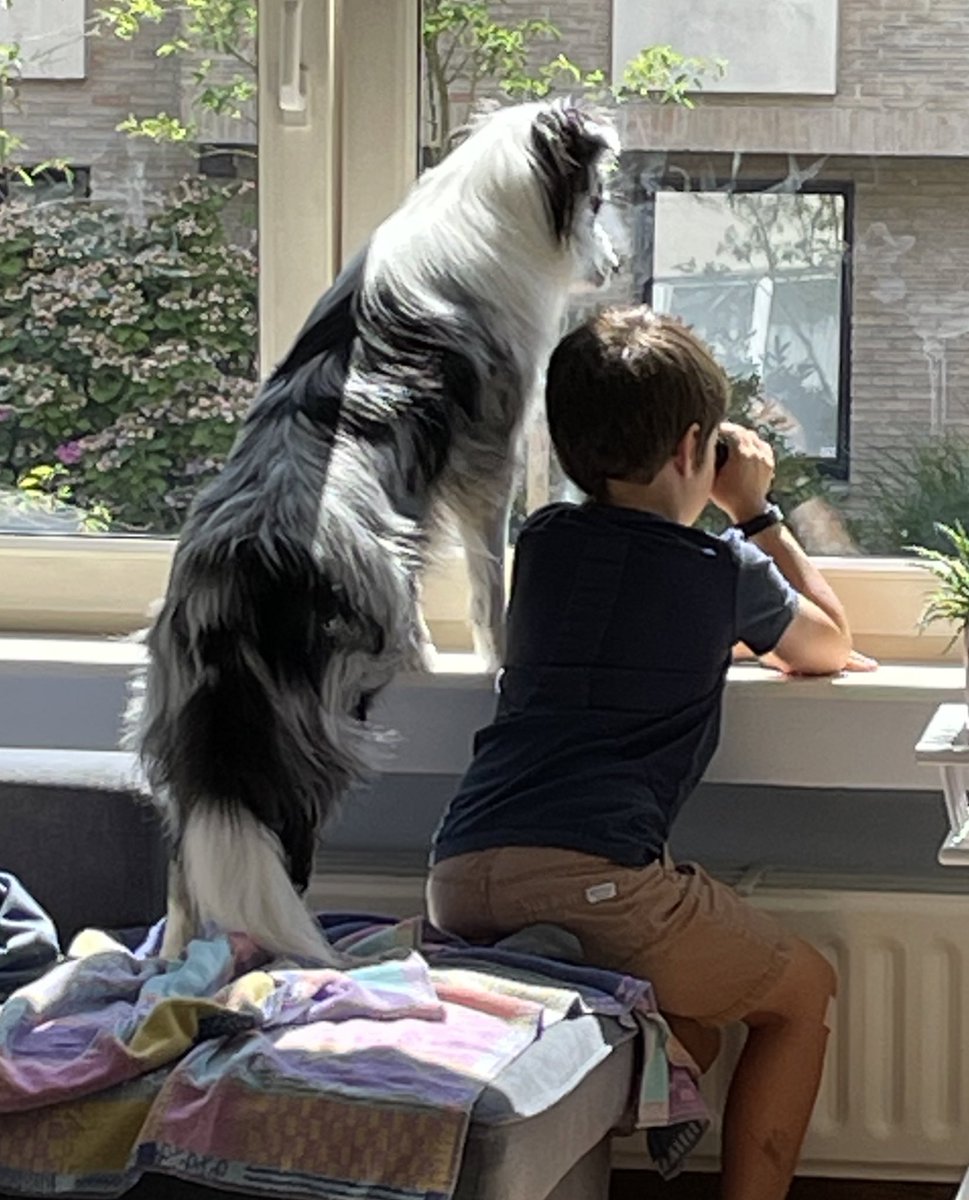k_canton's tweet photo. Checking out the neighbourhood with my best bud. https://t.co/LMG75tEjky