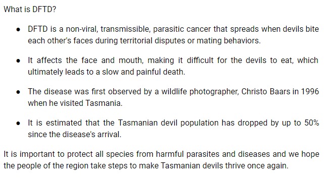 Surgeon_Onco's tweet image. Tasmanian Devils - carnivorous mammals in Tasmania and Australia - are facing a unique health problem that is threatening their survival! The devil facial tumor disease (DFTD) has been devastating their populations in recent years.

#TasmanianDevils #dftd #CancerInAnimals