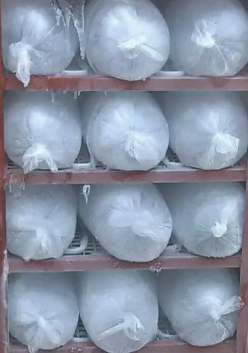 JallowDaniel's tweet image. Most Fridge owners here are lucky. As they can make ice blocks and local juices like this one below which is baobab juice which’s fruit is from a baobab tree. As the weather is really hot down here and most people can’t afford to get fridges in their own homes .@peaceisreason