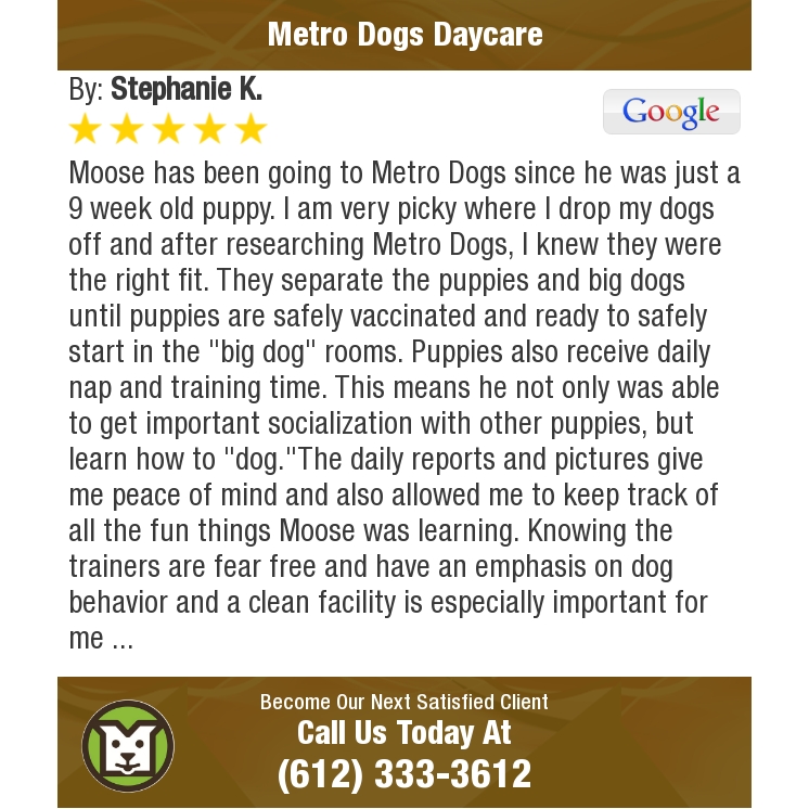 MetroDogsMN's tweet photo. 5 Star: Stephanie K. "Moose has been going to Metro Dogs since he was just a 9 week old puppy. I am very..." MISSING_ARG_ACCESS_TOKEN https://t.co/mrXFrbo2mA