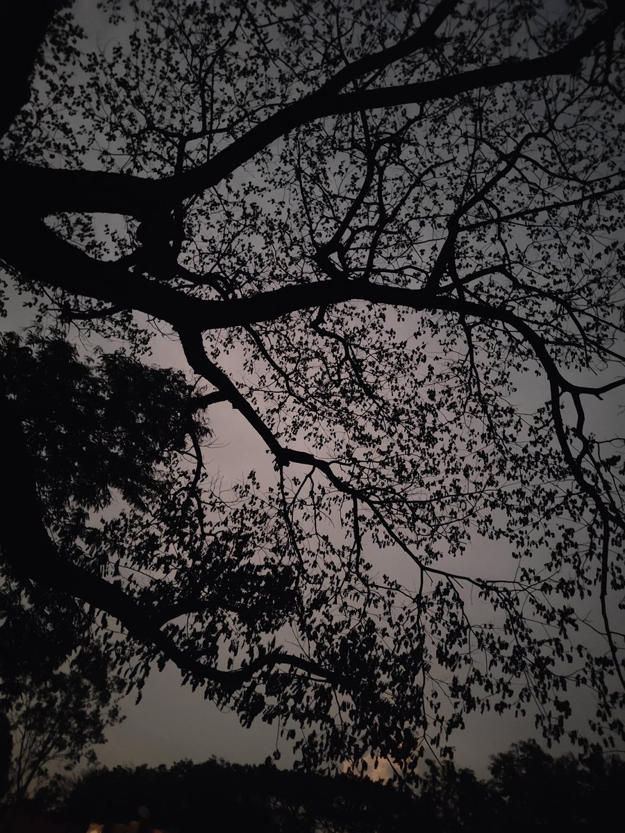 bkannan321's tweet image. #OnePlus #OnePlus9RT #Cats #Tanjore #BigTemple #Moon #NightSky