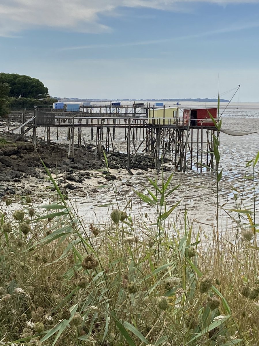phi2laf's tweet photo. #Fouras #carrelets https://t.co/FYEfhpQLe0