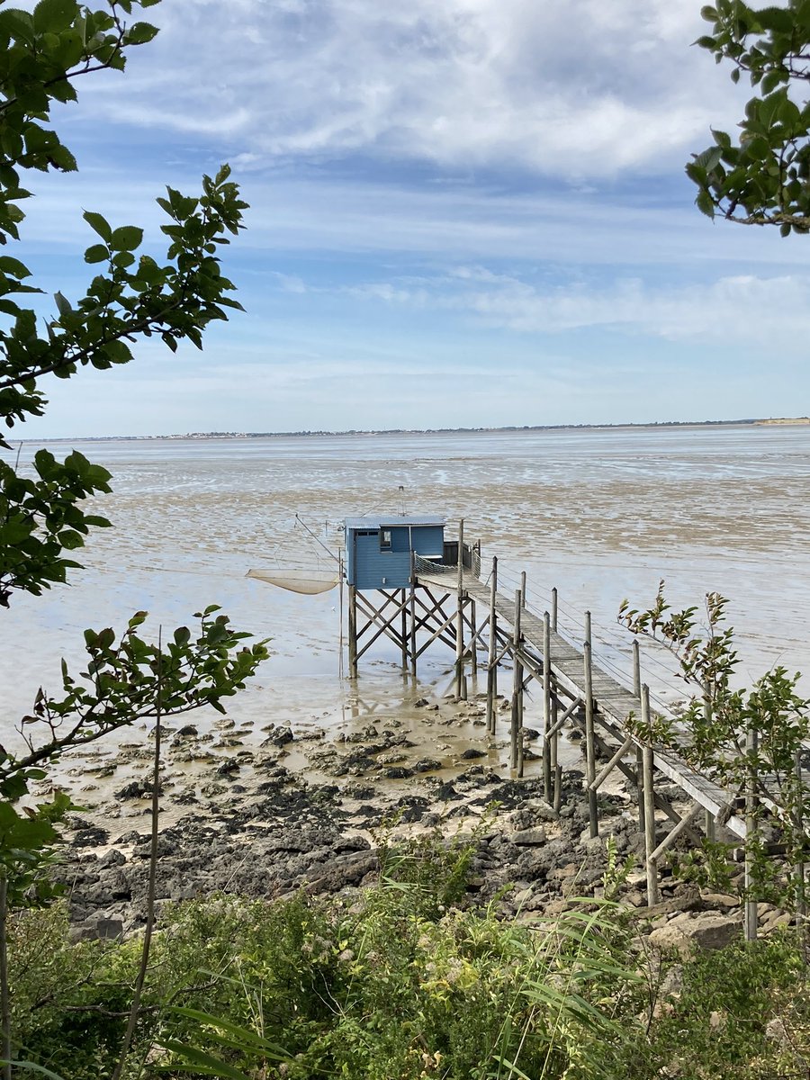 phi2laf's tweet photo. #Fouras #carrelets https://t.co/FYEfhpQLe0