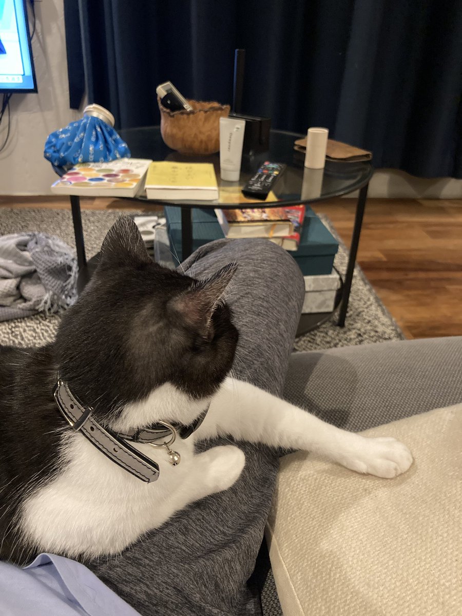 膝に収まるにゃんこ。
喋ったらニャーって返してくれる。
虜になりそう🐈