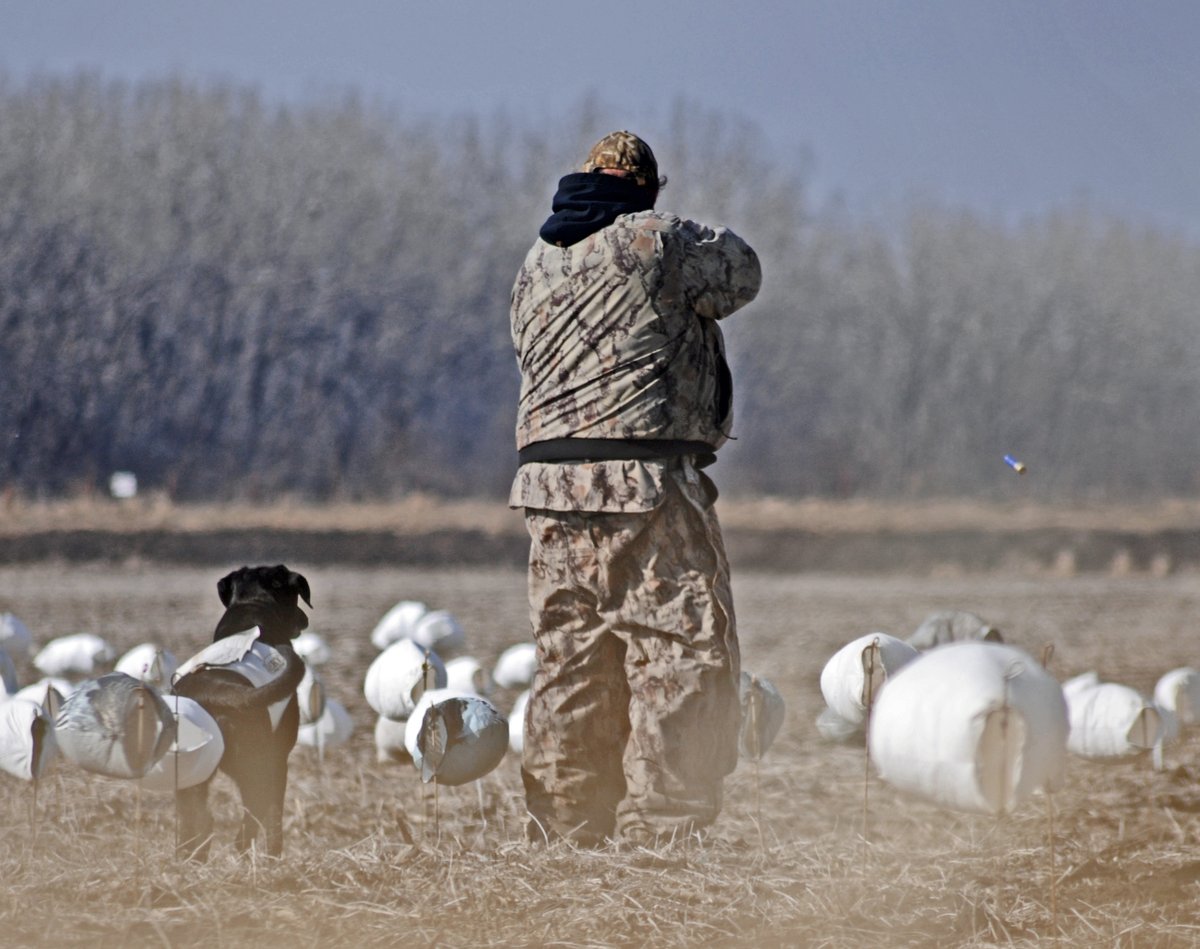 Exploring the Best Waterfowl Hunting Seasons for Snow Geese Hunters
As snow geese hunters, it's essential to stay informed about the best waterfowl hunting seasons to plan our hunting adventures effectively.
showmesnowgeese.com/exploring-the-…
#waterfowlhunting