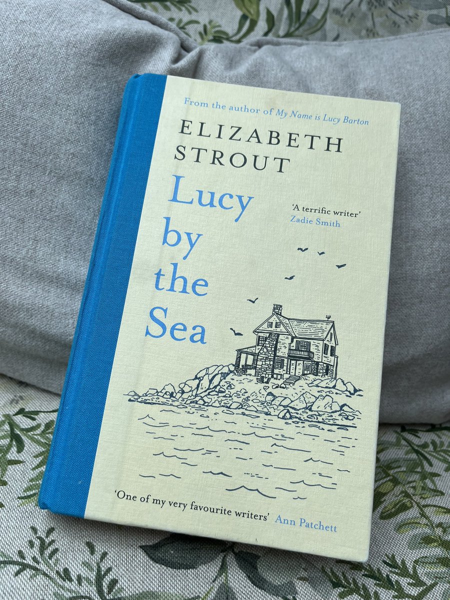 Beautiful. Poignant but simple observations on human nature. Set in Covid lockdowns but not as hard to read (emotionally) as I’d expected.

#LucyByTheSea #ElizabethStrout