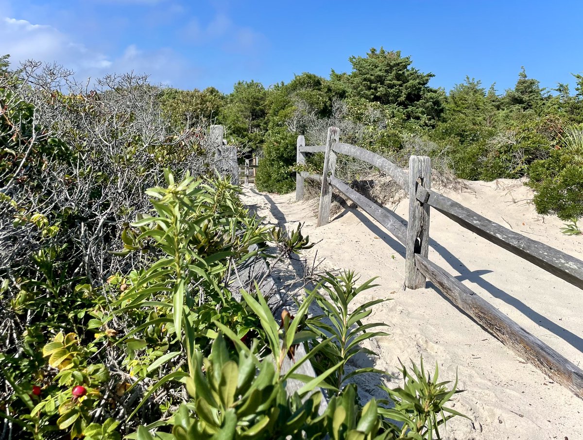 who’s down for ptown 😎😎💦💦