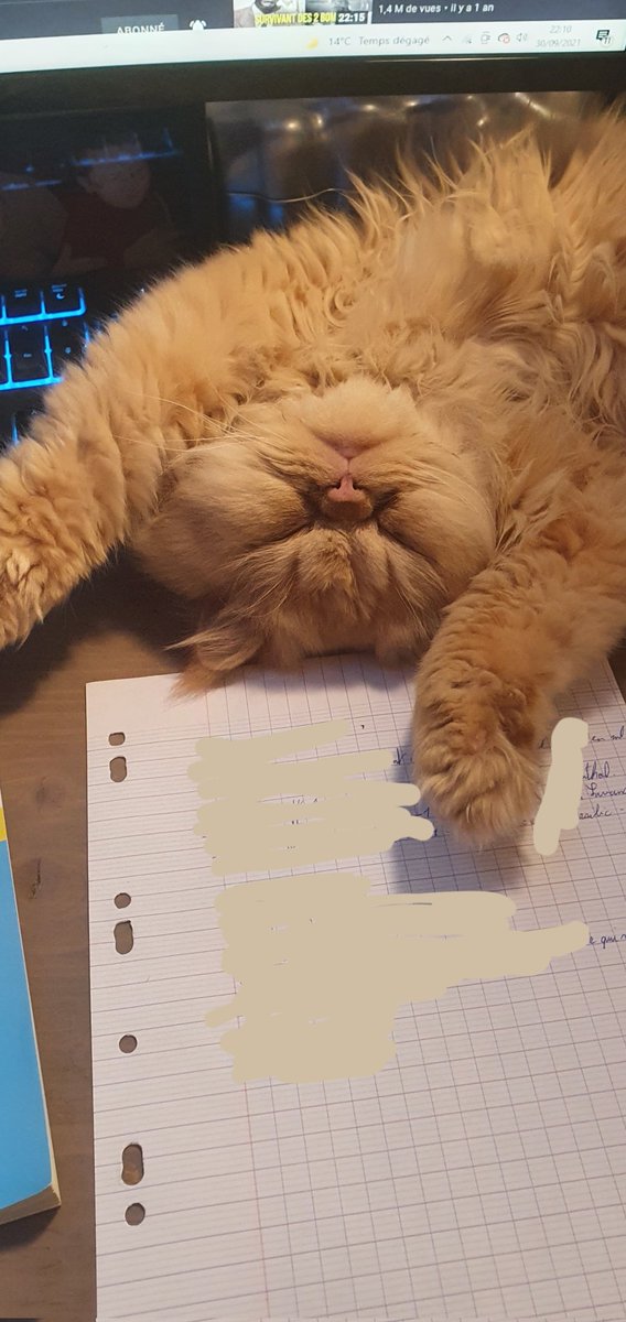 DevreeseEliott's tweet photo. Pourquoi je rend mes travaux en retard ? #journeeinternationaleduchat https://t.co/xmCjCnc0rE