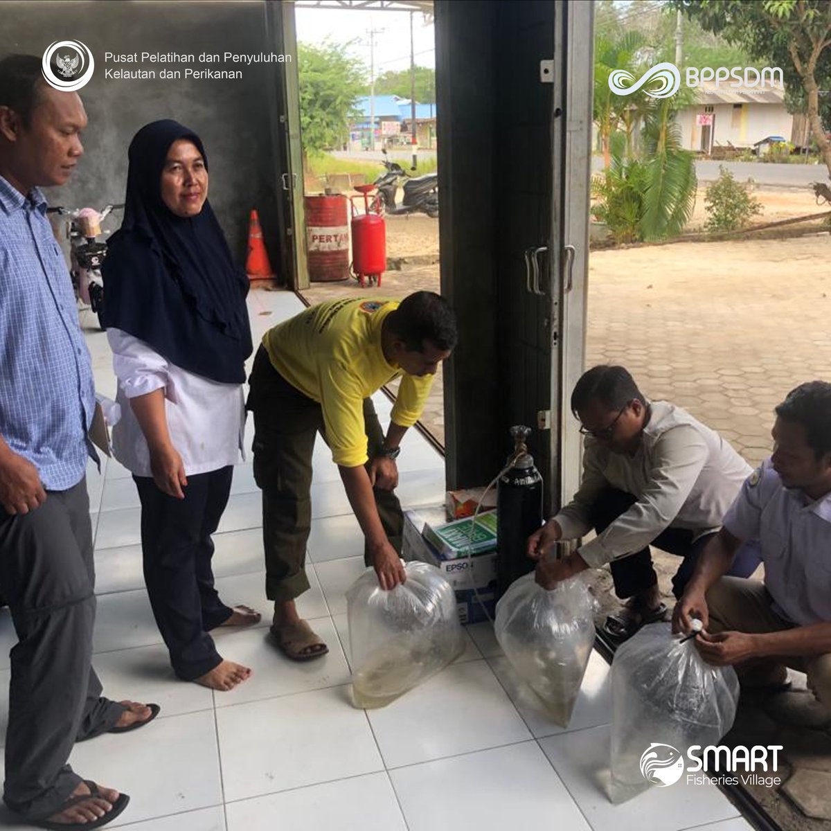 SFVSeiDua's tweet photo. Rabu (09/08/2023)
Serah terima sampel ikan untuk monitoring kesehatan ikan di Pokdakan  Hidup Bersama 2 di SFV Sungai Dua
@kkpgoid
@bppsdm_kp
@in_radiarta
@puslatluhkp
@bppsdm_bp3bwi
@KabTanahBumbu
#kkpthrive 
#SDMKP
#SDMUnggul
#EkonomiBiru
#PelatihanKP
#SFV_SungaiDua_TanahBumbu https://t.co/zWspRfkf4M