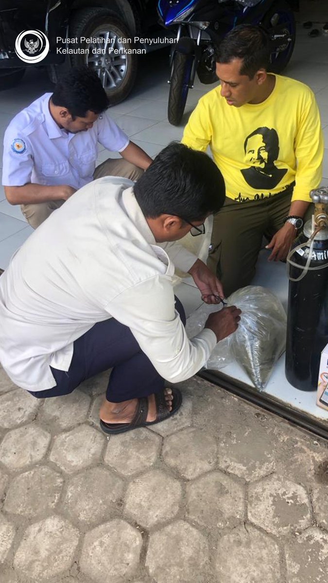 SFVSeiDua's tweet photo. Sampel ikan diserahkan kepada Tim Bidang Perikanan Budidaya Dinas Kelautan dan Perikanan Prov. Kalsel untuk dianalisa di laboratorium yang berkompeten https://t.co/VVbeylLOnB