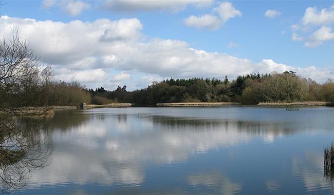 ShelleyProject's tweet photo. We have received £800 for our sponsored walk, In the Footsteps of Shelley, which visits places from his childhood, on Saturday 12th August. Please get us to our goal of £1000. Donate at the link below. 👣 💷
#PercyByssheShelley #Horsham #Warnham
https://t.co/ZLi9DUkGjx https://t.co/C0m032cxvd