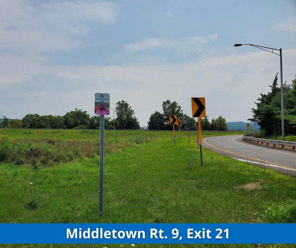 CTDOTOfficial's tweet photo. Our #PollinatorProgram is beautifying #CT! Here is the #CTDOT pollinator program in full bloom in #Middletown on Route 9 south near Exit 21. We have hundreds of locations blooming across #Connecticut. https://t.co/FukwT1kx4w