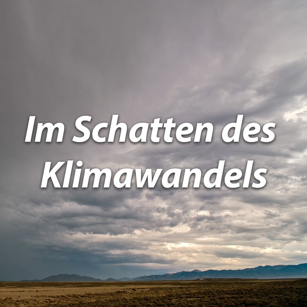 In der Diskussion um den #Klimawandel und #Klimaschutz wird immer wieder über CO2 gesprochen. Dabei wird ein wichtiger Aspekt aber übersehen: #Biodiversität. Unseren Beitrag zur Biodiversität finden Sie hier: stifter-tv.com/im-schatten-de…