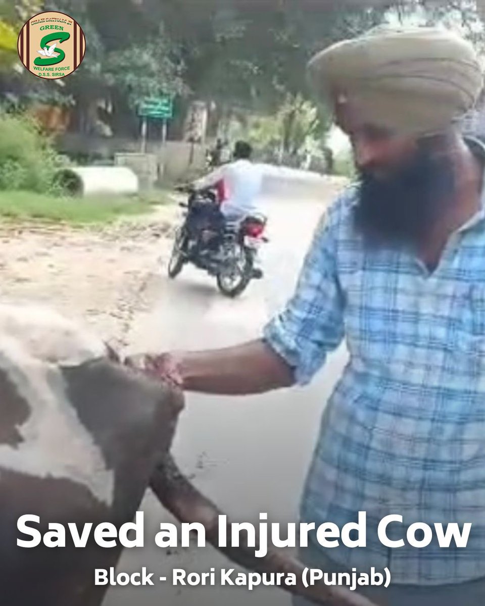 GreenSwelfares's tweet photo. Miracles happen with kindness! Kudos to Shah Satnam Ji Green 'S' Welfare Force Wingh volunteers for saving a stranded cow and providing treatment, inspired by the teachings of Saint Dr. MSG. Let's continue spreading love and care! #AnimalWelfare #MedicalCare #DeraSachaSauda #Humanity