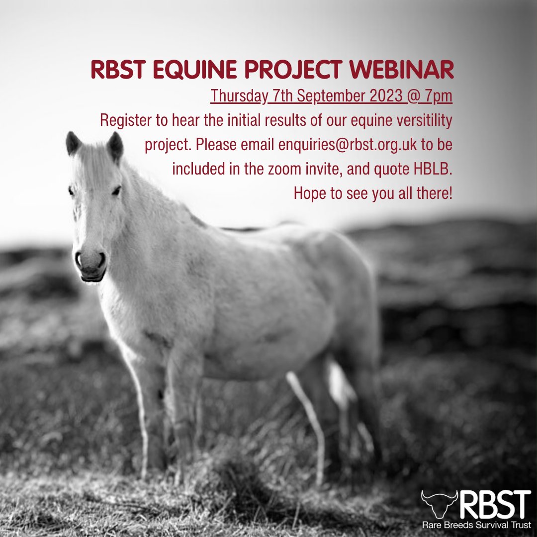 RBSTrarebreeds's tweet photo. Our marketing versatility webinar showcases the versatility of native ponies & how breeders, keepers & producers can promote their attributes to the wider equestrian market.
More on this project: https://t.co/fyjIrrglOP
#GoNative #EquineProject #EquineWebinar #NativeEquine https://t.co/MpNxX26XE6