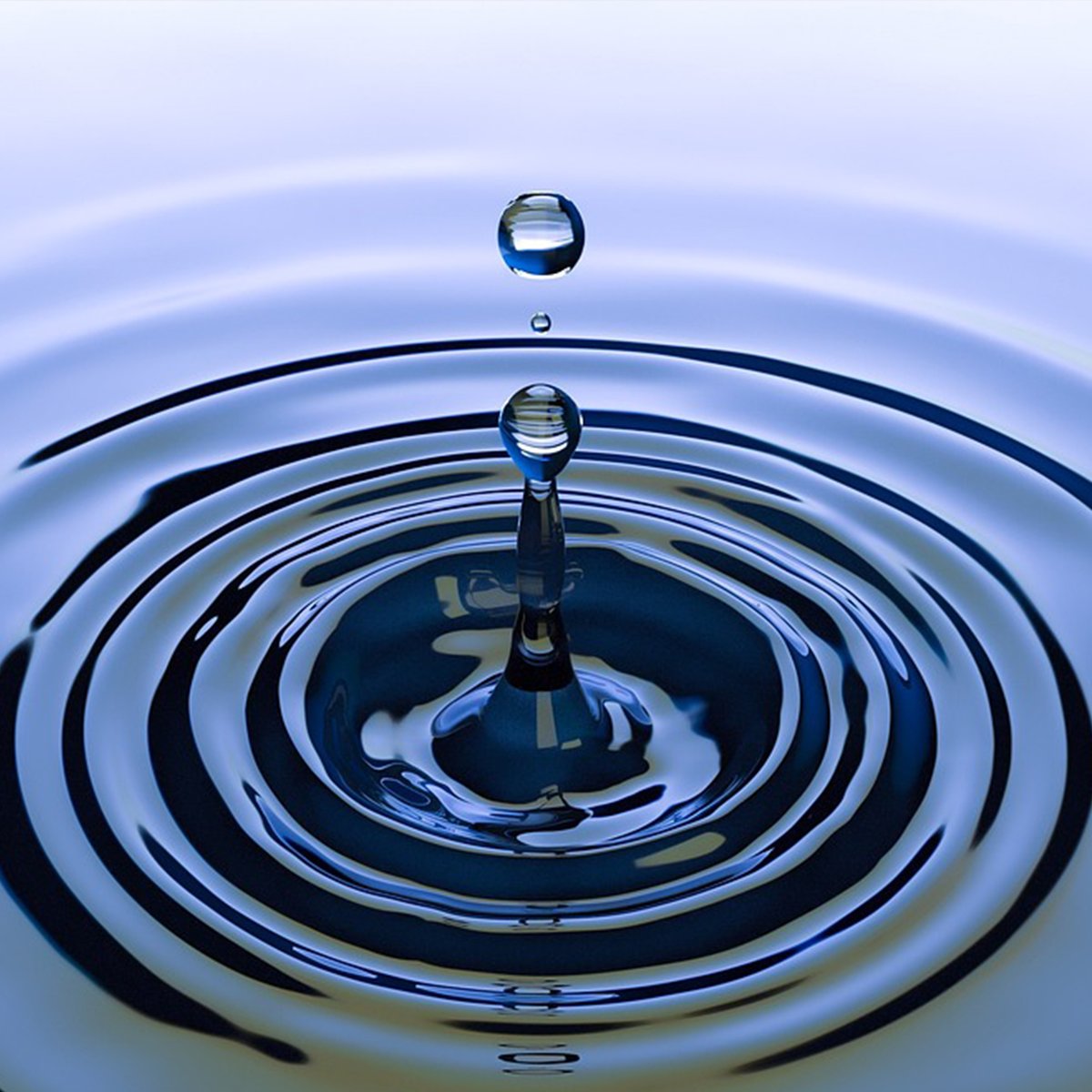 Wasser ist eine knappe Ressource. Berit Gehring stellt uns die Robeco Sustainable Water Equities Strategie und relevante Lösungsansätze vor, um die #Wasserknappheit zu verringern. Den Beitrag finden Sie unter: stifter-tv.com/investitionen-…