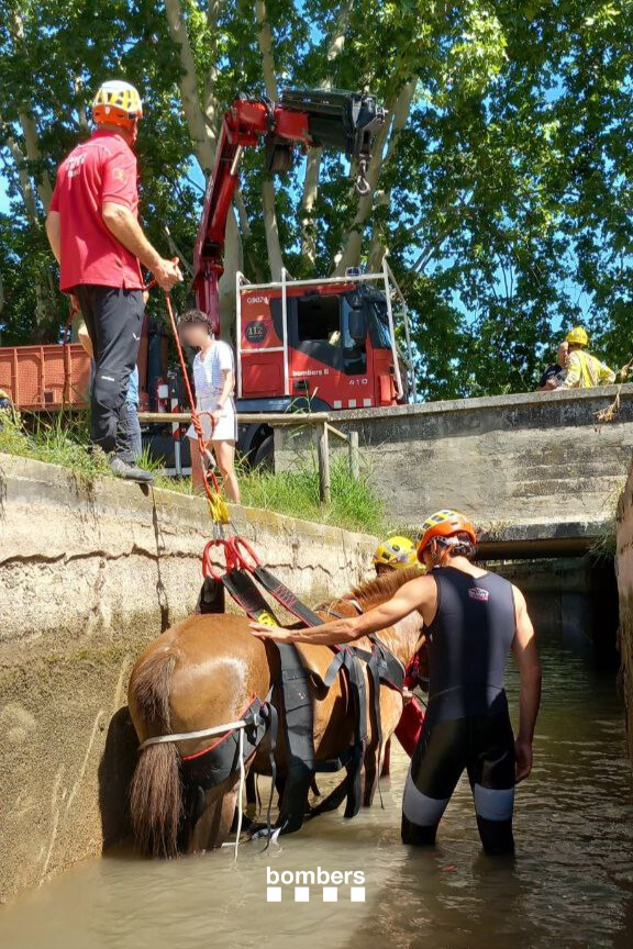 bomberscat's tweet photo. Aquest matí a Balsareny (avís 09.56 h) hem fet un rescat de dos cavalls i les seves genets que han caigut dins un canal. Hem treballat amb #GRAE per fer l'extracció amb la unitat de càrrega i els hem deixat a càrrec d'un veterinari.

🚒 5 dotacions
🚁 1 #MAER

#bomberscat https://t.co/IChYNwlNMM