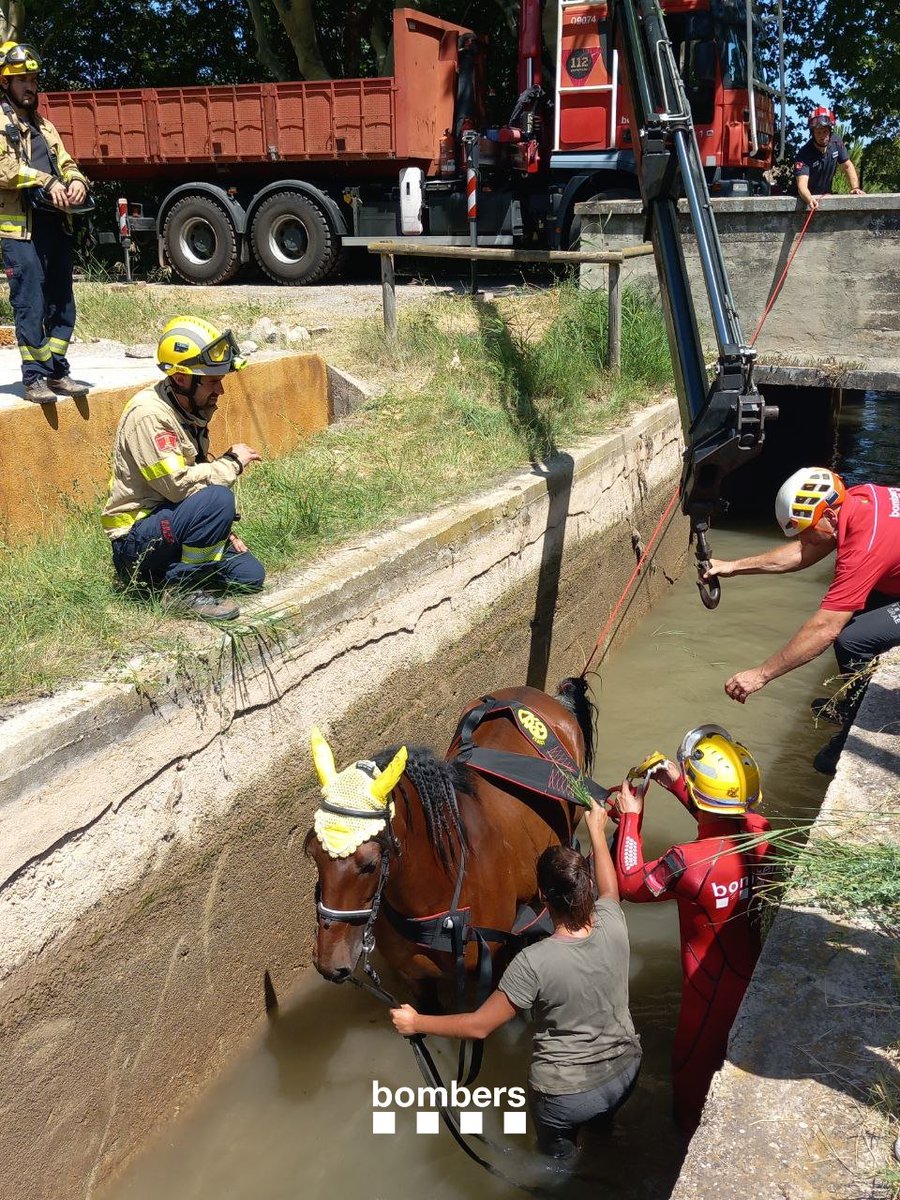 bomberscat's tweet photo. Aquest matí a Balsareny (avís 09.56 h) hem fet un rescat de dos cavalls i les seves genets que han caigut dins un canal. Hem treballat amb #GRAE per fer l'extracció amb la unitat de càrrega i els hem deixat a càrrec d'un veterinari.

🚒 5 dotacions
🚁 1 #MAER

#bomberscat https://t.co/IChYNwlNMM