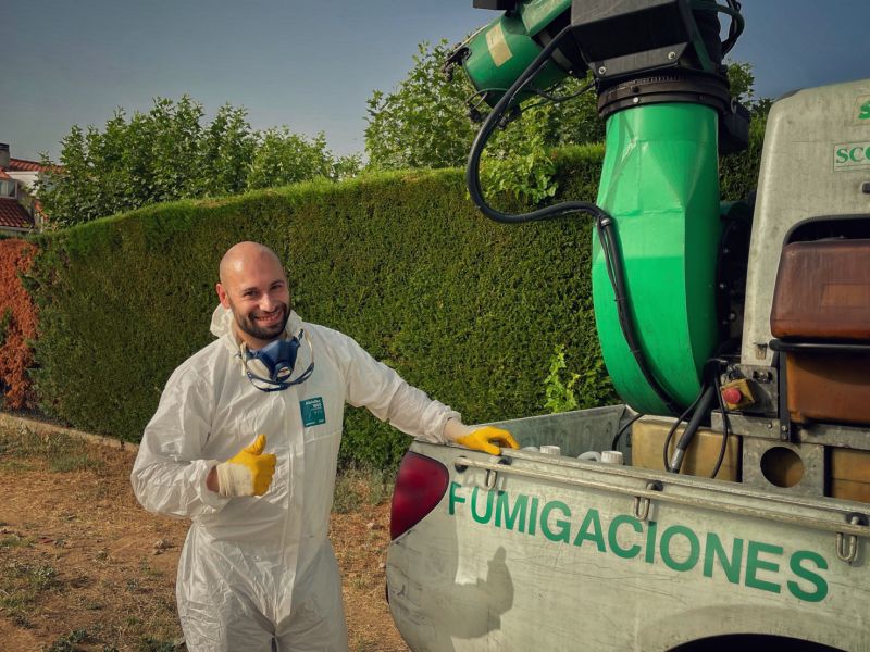 system_pest's tweet photo. 🐝 Esta mañana hemos acompañado a nuestro aplicador técnico Genadi Dimitrov a resolver un problema de #avispas, en una comunidad de vecinos, en el municipio de #Valdeolmos #Alalpardo.

⛱️ Este verano, tu entorno libre de avispas.

#controldeplagas  #fumigaciones #madrid #plagas https://t.co/kdnRsCIkwE