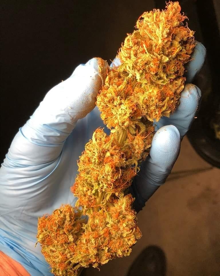 Cannabis Hub tweet media
