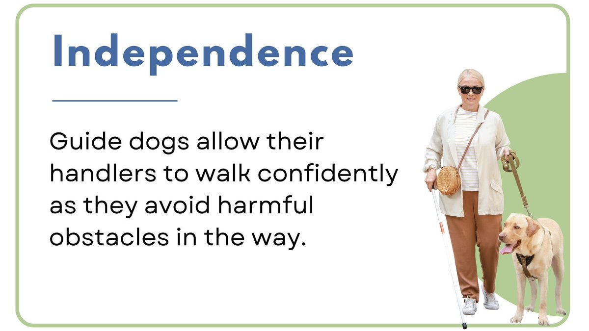 BrailleWorks's tweet photo. #GuideDogs have a wonderful purpose as they are trained to help benefit the lives of those who are #Blind and visually impaired. 🐕 #InternationalAssistanceDogWeek https://t.co/wrTgYqTChq
