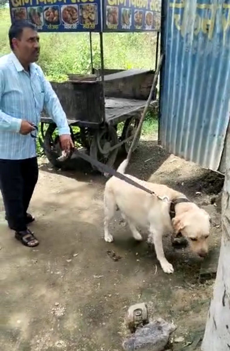 PoliceYnr's tweet photo. जिला की एंटी नारकोटिक्स सेल,पुलिस चौकी हमीदा व रादौर की टीमो ने स्निफर डॉग के साथ पुलिस चौकी हमीदा,दामला वा थाना रादौर एरिया मे नशीले पदार्थ को पकड़ने और नशीला पदार्थ सप्लाई करने वालो को काबु करने के लिए चलाया सर्च ऑपरेशन
@police_haryana 
@DGPHaryana 
@AdgpAmbalaRange 
@cmohry https://t.co/Ye1PiJtg2g